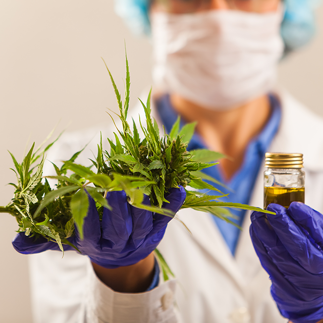 monhtly subscription cbd topical oils